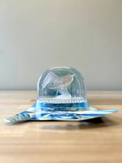 Crystal Clear Whirlwind